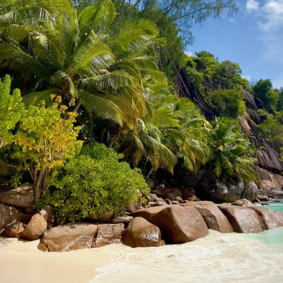 Plage idyllique aux Seychelles, entourée de palmiers et de rochers majestueux.