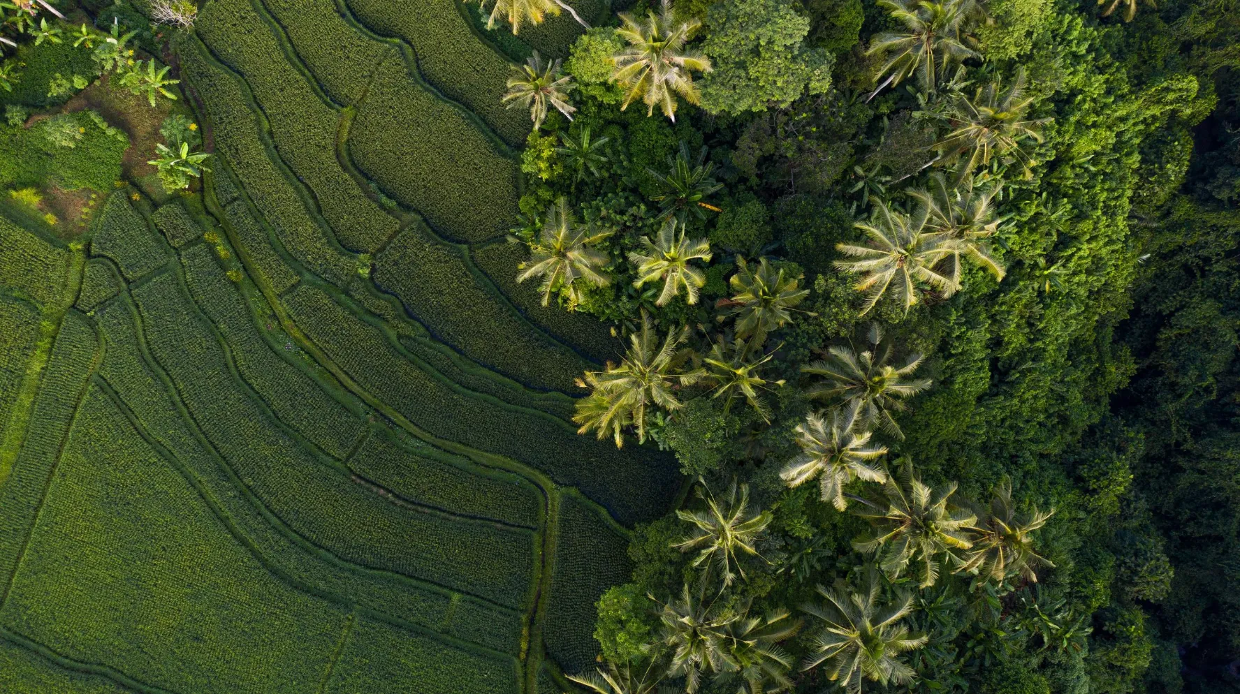 « Take it easy » Bali