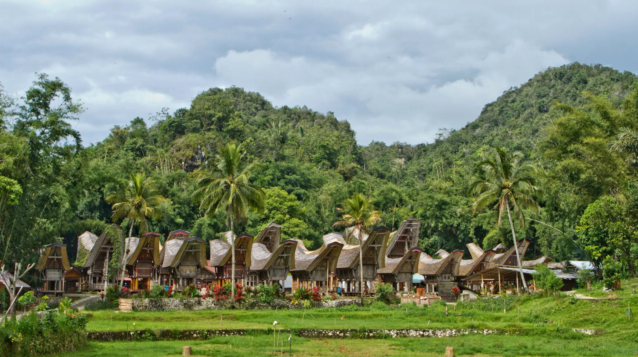 Mystérieuse Sulawesi