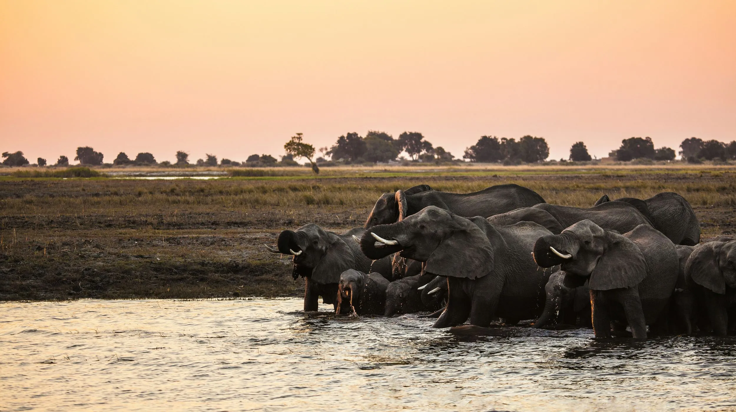 Merveilles d’Afrique : rivières et désert