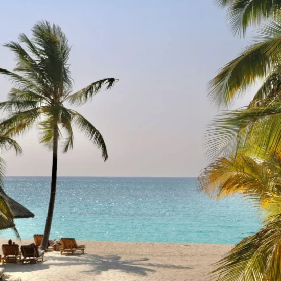 Plage paradisiaque, Maldives — un havre de paix où se mêlent palmiers et eaux turquoise, idéal pour un séjour enchanteur.