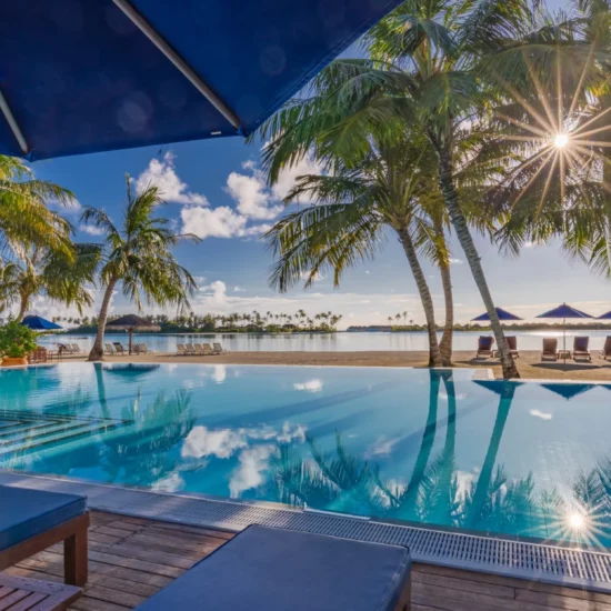 Un cadre idyllique entre palmiers et eau turquoise, parfait pour un séjour relaxant et mémorable.