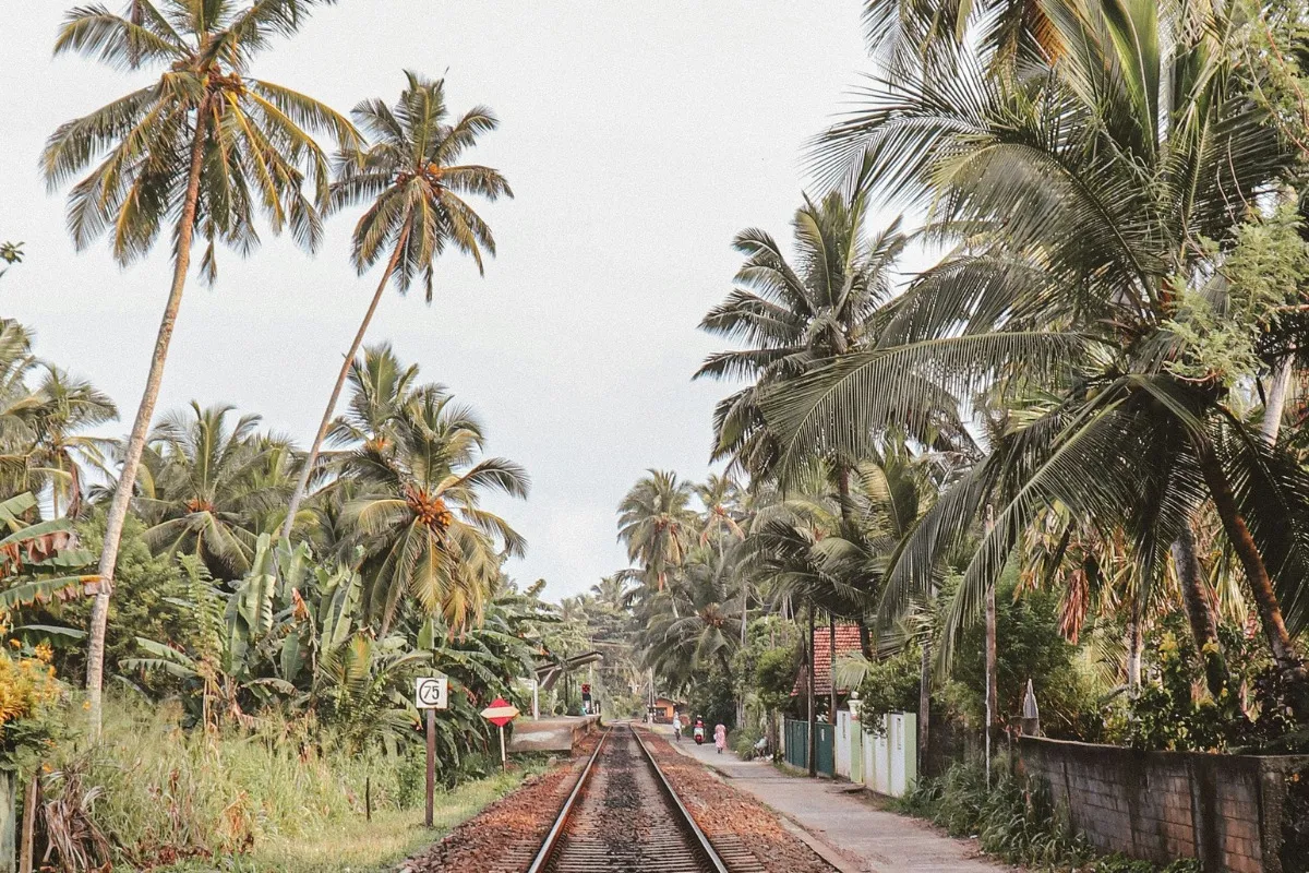 Sri Lanka – Terres sacrées et plages infinies